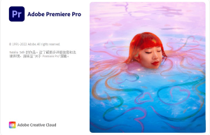 Premiere Pro 2023精简版_v23.6 绿色便携版