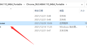 备用浏览器首选谷歌浏览器 Google Chrome v122.0.6261.58 便携增强版缩略图