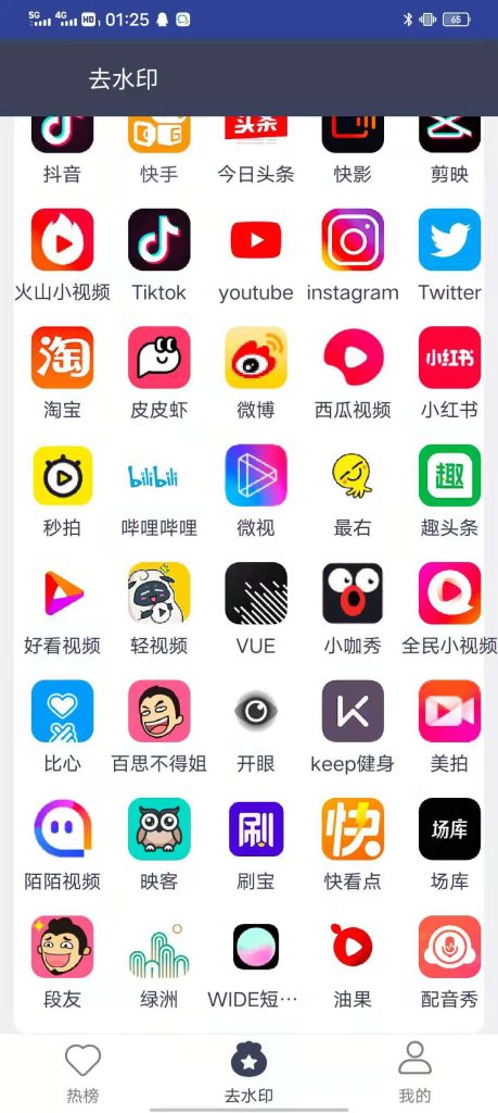 手机短视频下载去水印大师插图4