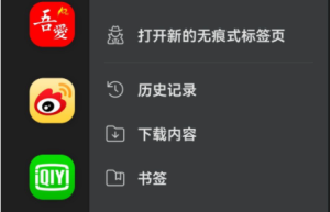 猕猴桃浏览器-Kiwi Browser_101.0.4951.39 最新谷歌版缩略图