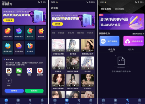 一款用于日常语音聊天以及游戏开黑来打造的语音软件-语聊音频变声器 v1.1.3 高级版电脑DIY圈-电脑DIY,一个分享电脑DIY硬件,电脑软件,软件素材资源,各类教程的博客-鑫屿翔网络电脑DIY圈