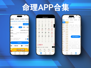 一款全新的八字排盘和命理分析软件-问真八字 v1.8.3 专业命理师软件 高级版电脑DIY圈-电脑DIY,一个分享电脑DIY硬件,电脑软件,软件素材资源,各类教程的博客-鑫屿翔网络电脑DIY圈