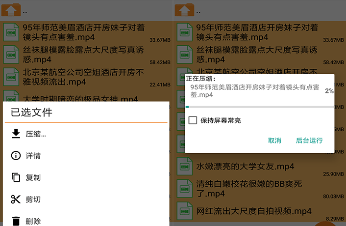 Archiver Pro v1.0.0.10116 安卓7z解压神器中文捐赠版缩略图