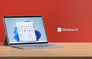 Win11例行新版来了!一起来看看都更新了什么