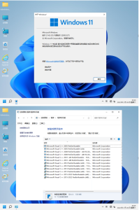 最完美WIN11_Pro_21H2.22000.527软件选装纯净版VIP31.9电脑DIY圈-电脑DIY,一个分享电脑DIY硬件,电脑软件,软件素材资源,各类教程的博客-鑫屿翔网络电脑DIY圈