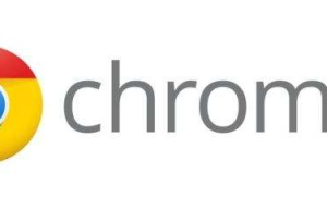 一款快速、易用且安全的网络浏览器-chrome 99.0.4844.48 谷歌安卓浏览器缩略图