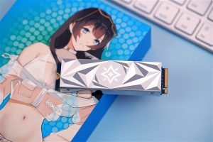 高性价比PCIe 4.0！影驰星曜X4 1TB SSD图赏电脑DIY圈-电脑DIY,一个分享电脑DIY硬件,电脑软件,软件素材资源,各类教程的博客-鑫屿翔网络电脑DIY圈