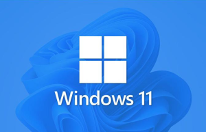 如何完美的习惯安装使用WINDOWS11系统，从安装到美化教程缩略图