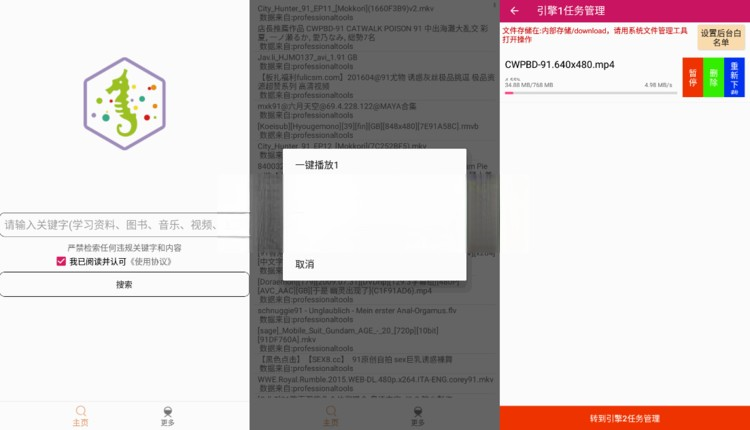 一款无广告，无需任何权限的磁力搜索工具-比特舟Pro v2.12| 磁力搜索器电脑DIY圈-电脑DIY,一个分享电脑DIY硬件,电脑软件,软件素材资源,各类教程的博客-鑫屿翔网络电脑DIY圈