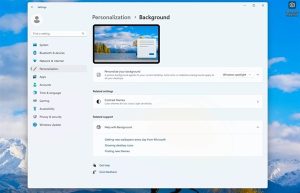 Win11正式版最新推送来了!一起来看看更新了啥