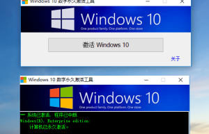 W10 Digital Activation v1.4.6 Win11数字权利激活工具缩略图