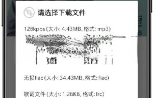 QMD音乐下载器 v1.7.2 | 简洁高效的音乐下载器[安卓版]缩略图