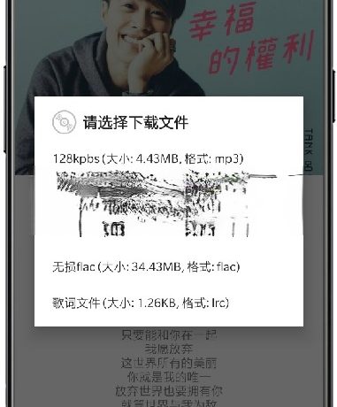 QMD音乐下载器 v1.7.2 | 简洁高效的音乐下载器[安卓版]缩略图