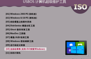 USBOS 3.0 v2023.1.16 超级PE启动维护工具标准增强版缩略图