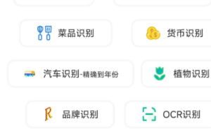 AI工具箱1.0.0(图像、文字、识别和语音)缩略图