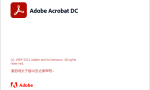 Adobe Acrobat DC Pro 2022.003.20258缩略图
