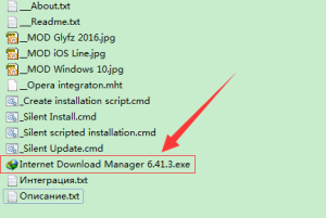 Internet Download Manager (IDM) 6.42.1插图