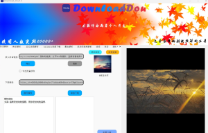 Download_DouProV1.5更新时间抖音快手西瓜批量b站最右皮虾去水印解析工具缩略图