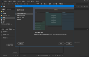 Adobe Bridge 2023 (v13.0.1.583.0)插图