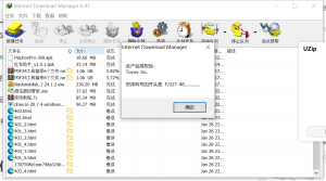 国内外优秀下载工具-下载神器IDM6.42.9（Internet Download Manager）最新中文直装激活版/正版插图1
