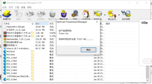 国内外优秀下载工具-下载神器IDM6.42.26（Internet Download Manager）最新中文直装激活版/正版插图1