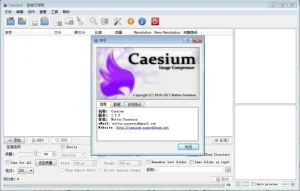 Caesium Image Compressor v2.3.0 图像优化压缩软件 mac版本win版本插图
