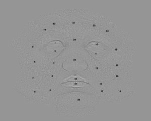 FlippedNormals面部套件适用于所有软件插图1