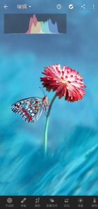 Adobe Lightroom Premium CC v10.5.2 高级版 安卓版插图1