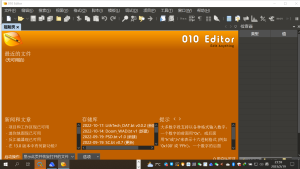专业文本十六进制编辑器 010 Editor 13.0.1 中文版插图