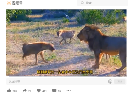 视频号下载、网页视频下载，只要能播放无加密视频，它都可以电脑DIY圈-电脑DIY,一个分享电脑DIY硬件,电脑软件,软件素材资源,各类教程的博客-鑫屿翔网络电脑DIY圈
