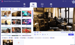 Aiseesoft Video Converter Ultimate V10.8.28视频转换大师缩略图