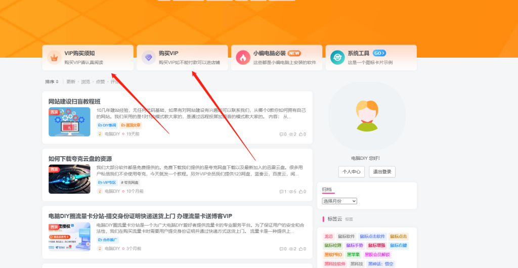 电脑DIY圈博客使用技巧—VIP购买指南。插图1