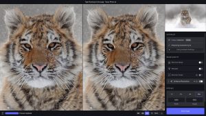 Topaz Photo AI 1.2.0 MacOS 学习版缩略图