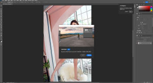 Photoshop beta 25.0 一键安装+神经网络滤镜完美支持中文附带教程插图8