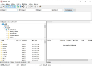 FileZilla Pro 3.67.一个免费开源的 FTP 软件插图