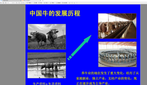 网络文档本地阅读神器-稻壳阅读器电脑DIY圈-电脑DIY,一个分享电脑DIY硬件,电脑软件,软件素材资源,各类教程的博客-鑫屿翔网络电脑DIY圈