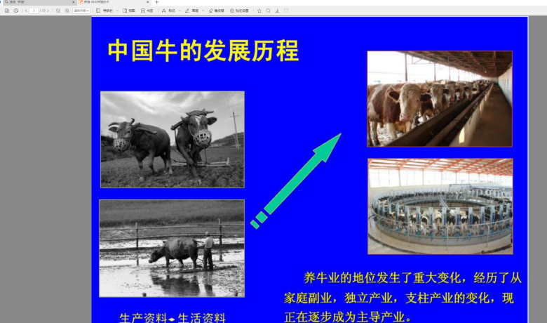 网络文档本地阅读神器-稻壳阅读器缩略图