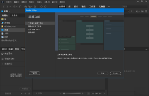 Adobe Bridge 2023 (v13.0.4.755.0)一款由Adobe公司开发的数字媒体管理软件缩略图