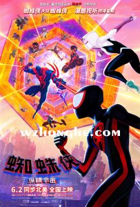影视剧集：[9.0分]《蜘蛛侠：纵横宇宙》Spider-Man: Into the Spider-Verse [美国动作喜剧动画大电影][HDTC中字][在线/下载]插图
