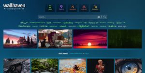 Wallhaven 4.4.6.0 壁纸下载定时更换电脑DIY圈-电脑DIY,一个分享电脑DIY硬件,电脑软件,软件素材资源,各类教程的博客-鑫屿翔网络电脑DIY圈