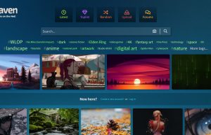 Wallhaven 4.4.6.0 壁纸下载定时更换缩略图