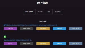 不太灵影视下载4K、蓝光(粉丝要的)电脑DIY圈-电脑DIY,一个分享电脑DIY硬件,电脑软件,软件素材资源,各类教程的博客-鑫屿翔网络电脑DIY圈