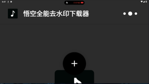 悟空全能去水印下载器 v2.11.4高级版一款专业的去水印工具电脑DIY圈-电脑DIY,一个分享电脑DIY硬件,电脑软件,软件素材资源,各类教程的博客-鑫屿翔网络电脑DIY圈