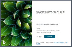 Bing Wallpaper(微软壁纸) v2.0.0.6 中文多语免费版一款由微软推出的应用程序电脑DIY圈-电脑DIY,一个分享电脑DIY硬件,电脑软件,软件素材资源,各类教程的博客-鑫屿翔网络电脑DIY圈