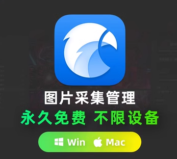 价值199元—Eagle绿色永久解锁版，电脑上最好的图片素材整理软件插图1