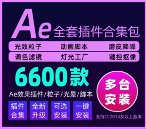 AE视频特效制作软件，6600款插件合集包，一键安装版本电脑DIY圈-电脑DIY,一个分享电脑DIY硬件,电脑软件,软件素材资源,各类教程的博客-鑫屿翔网络电脑DIY圈