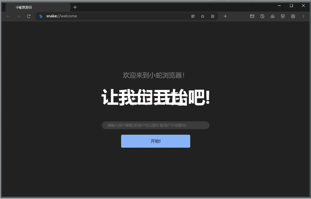 小蛇浏览器 v1.0.40 绿色版一款基于Chromium内核开发的浏览器软件插图