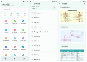 Android 人体穴位图解 v3.1.3一款免费无广告的应用电脑DIY圈-电脑DIY,一个分享电脑DIY硬件,电脑软件,软件素材资源,各类教程的博客-鑫屿翔网络电脑DIY圈