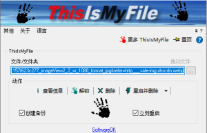 ThisIsMyFile_x64 v4.24.0一款免费的Windows工具，用于解锁、删除、复制或移动被锁定的文件缩略图