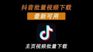 抖音视频批量下载最新工具电脑DIY圈-电脑DIY,一个分享电脑DIY硬件,电脑软件,软件素材资源,各类教程的博客-鑫屿翔网络电脑DIY圈